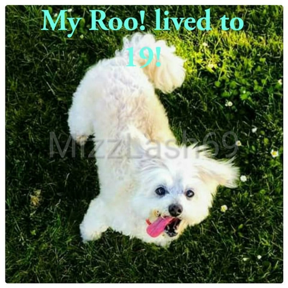 Meet your posher ๐คโคโบ๐ฏ๐๐๐ - Picture 5 of 16